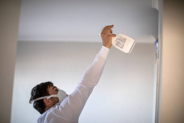 Best Post-Flood Mold Remediation in University Heights, OH