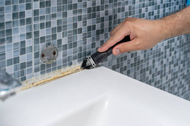 Best Localized Mold Remediation (e.g., coastal areas, humid climates) in University Heights, OH